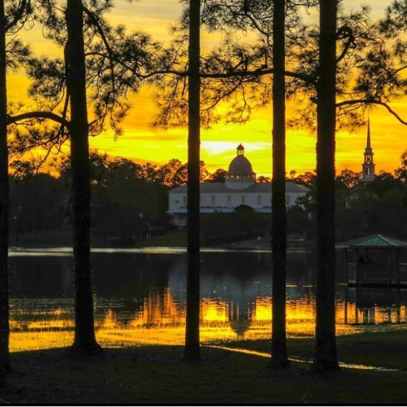 Meet your Posher, Jessica - Picture 4 of 4